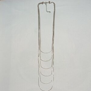 Elegant Silver Layered Necklace